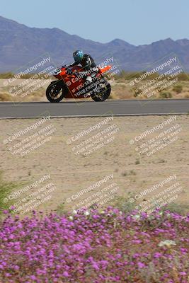 media/Mar-12-2023-SoCal Trackdays (Sun) [[d4c8249724]]/Turn 15 Inside Bloom (130pm)/